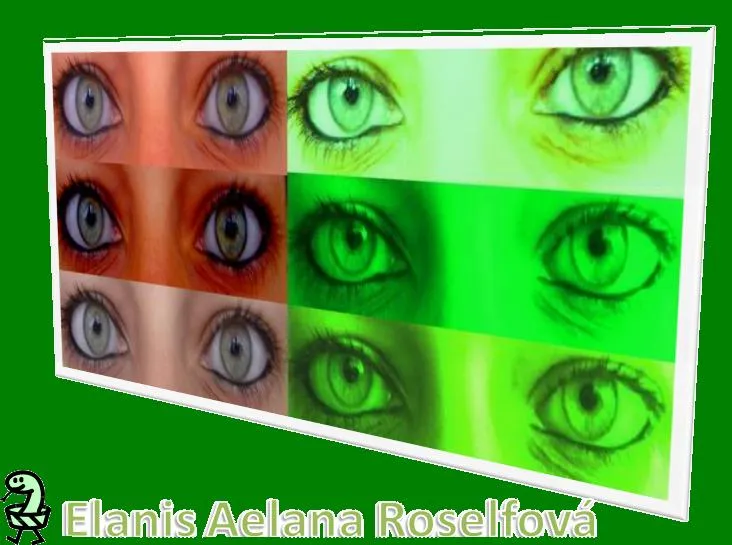 Elanis Aelana Roselfova