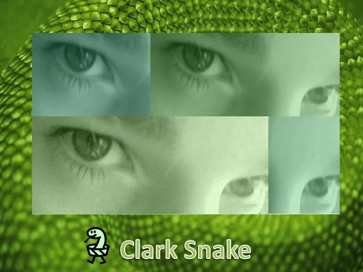 Clark Snake