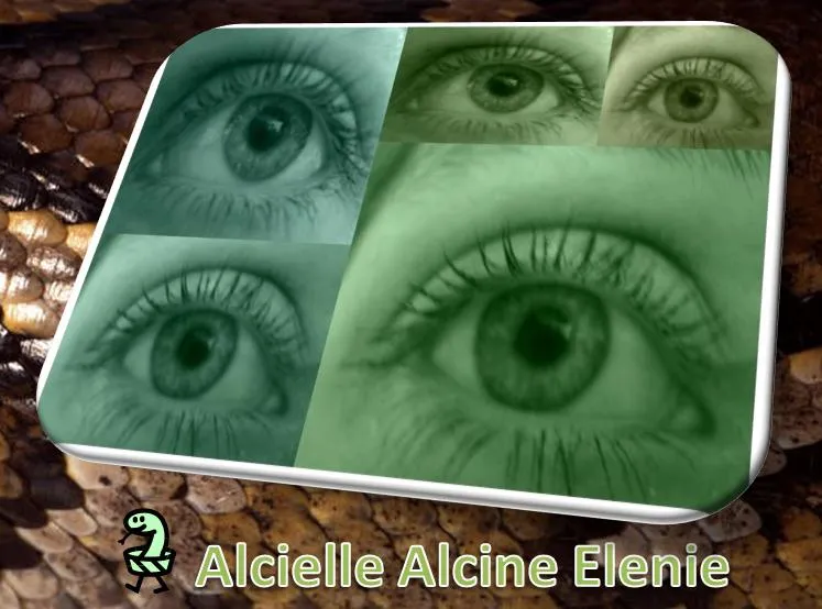 Alcielle Alcine Elenie