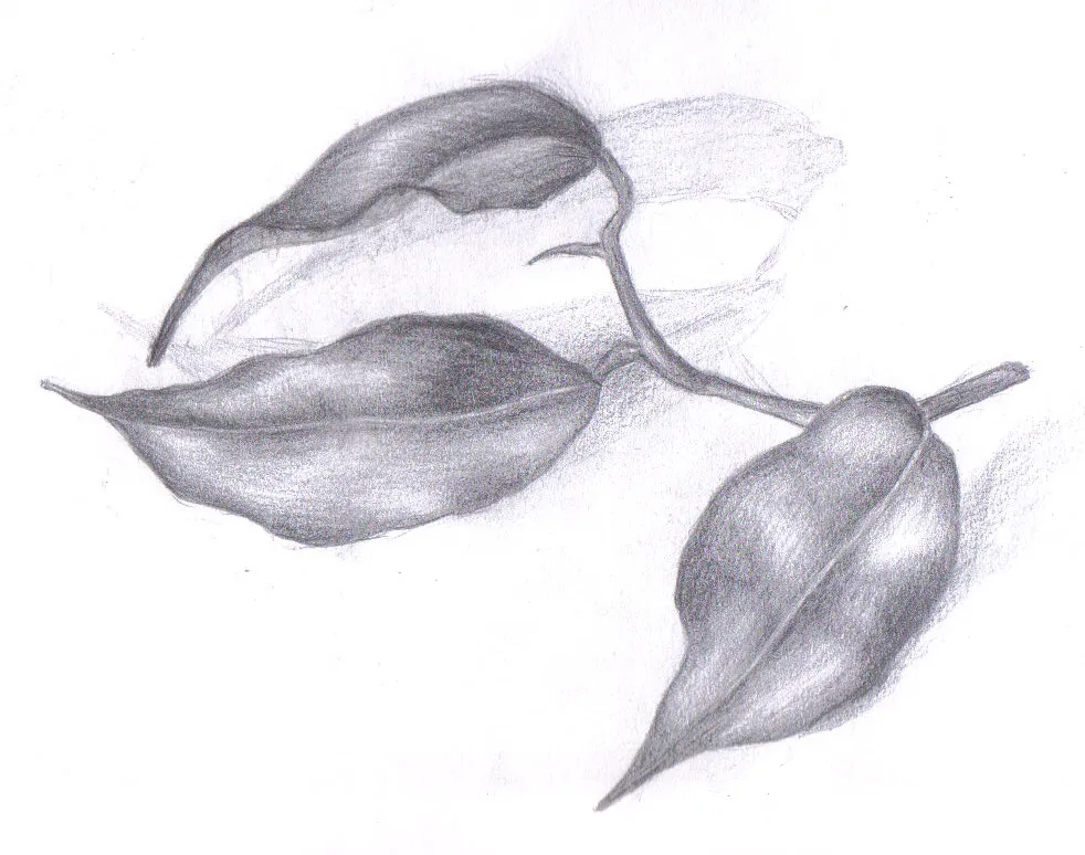 Michelle Asmin Gllasis