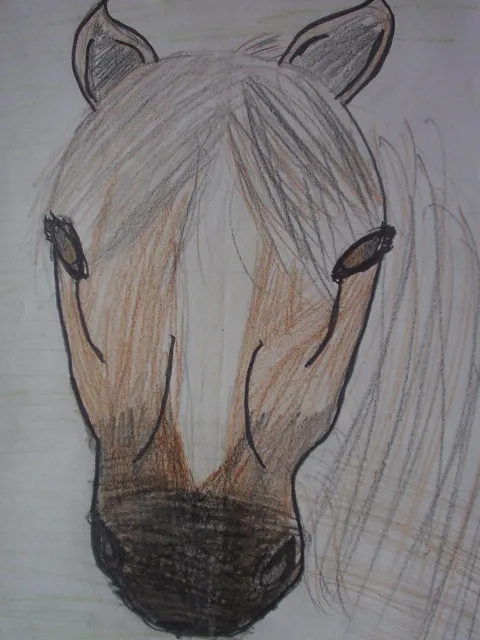 Kůň