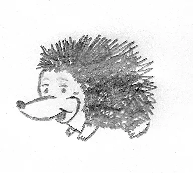 Ježeček