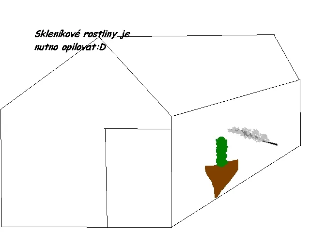 Skicujeme češtinu - Skleníkové kytky je nutné opilovat