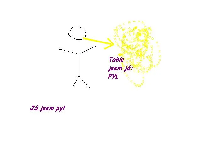 Skicujeme češtinu - pyl