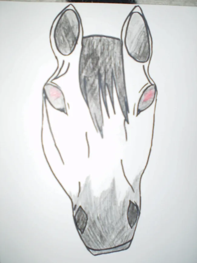 Kůň