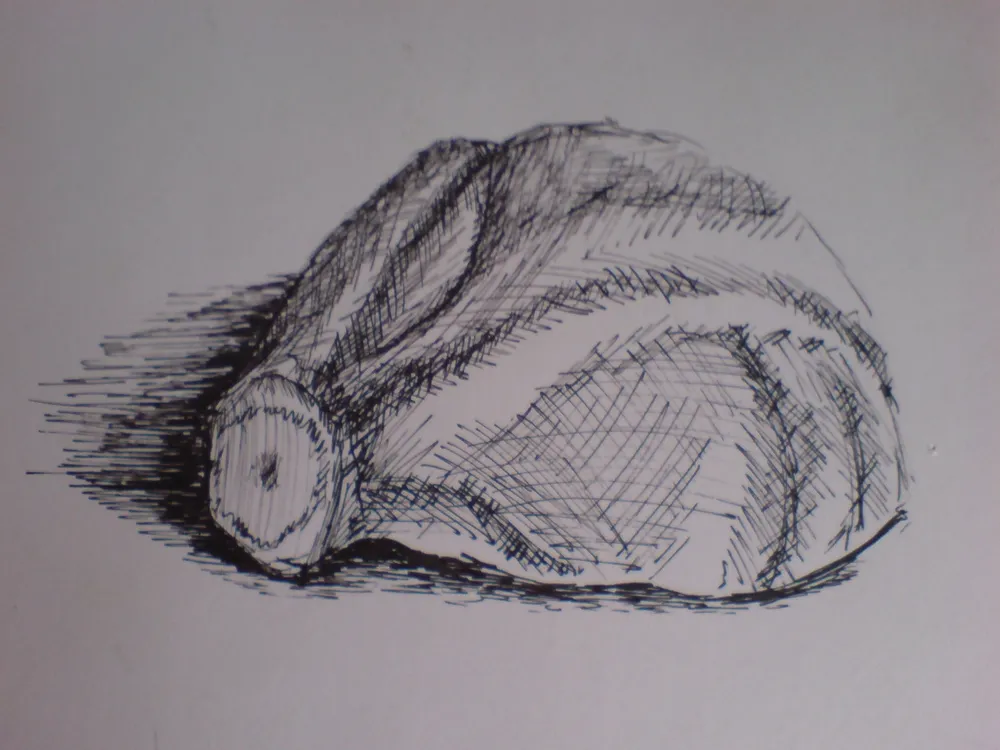 Studie Zelí 2 (perokresba)