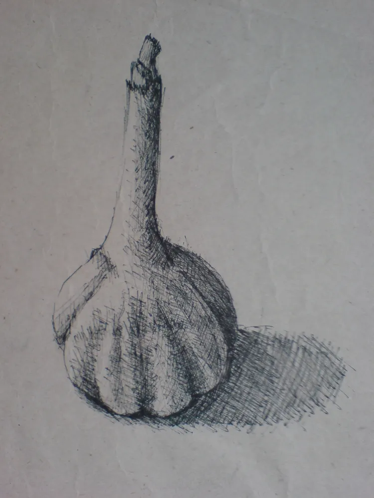 Česnek