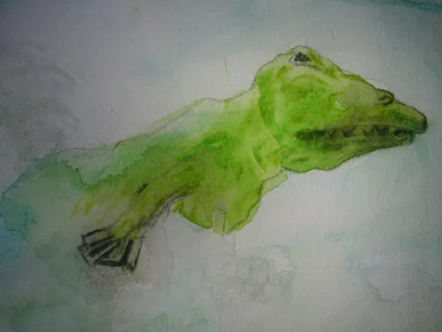 ambulucetus