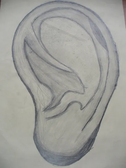 Ucho