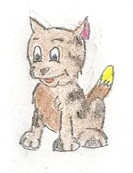 Kocour