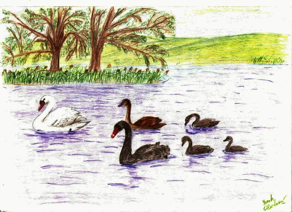 Labutí jezero