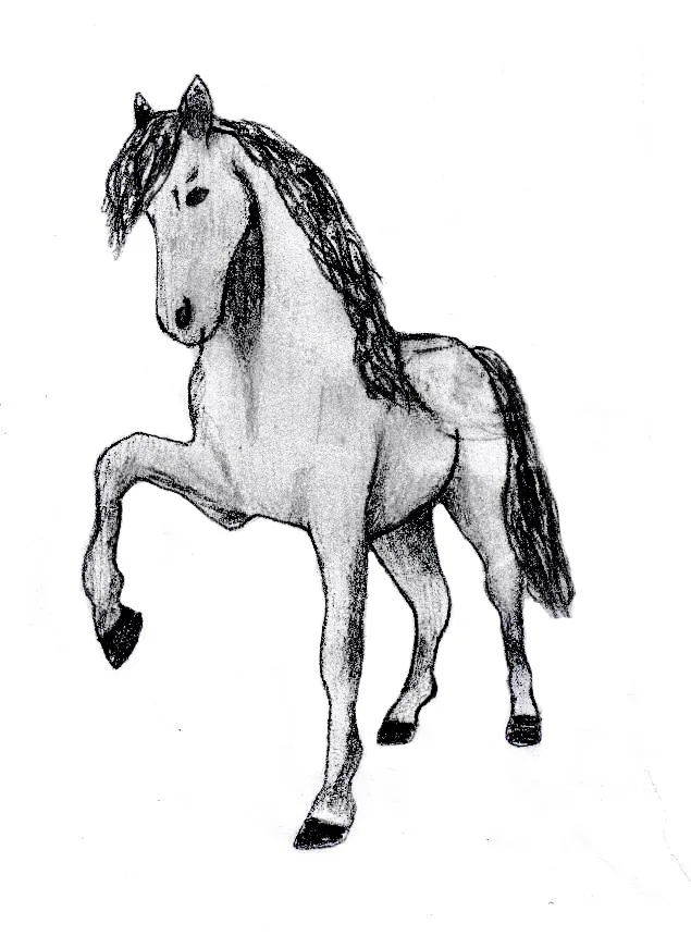 Práce žáků č. 4919