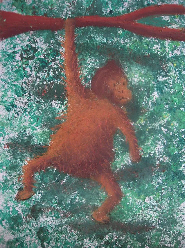 orangutan