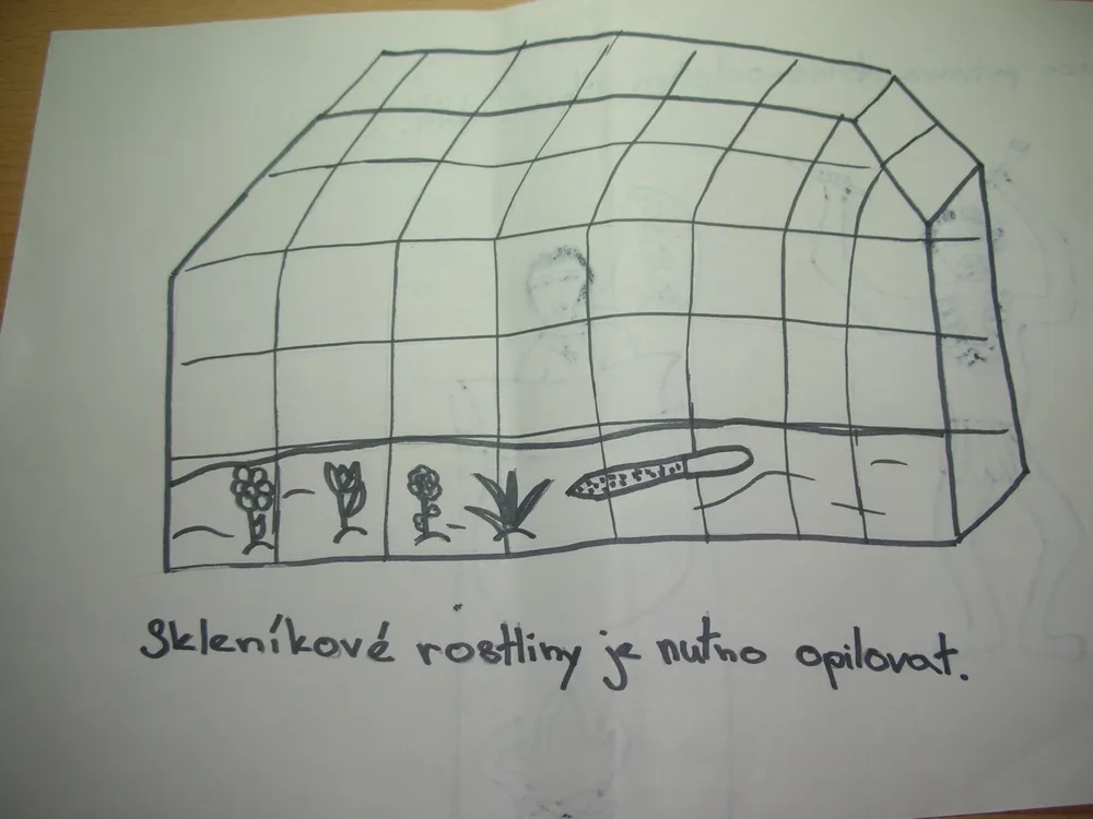 Skicujeme češtinu - Skleníkové kytky je nutné opilovat