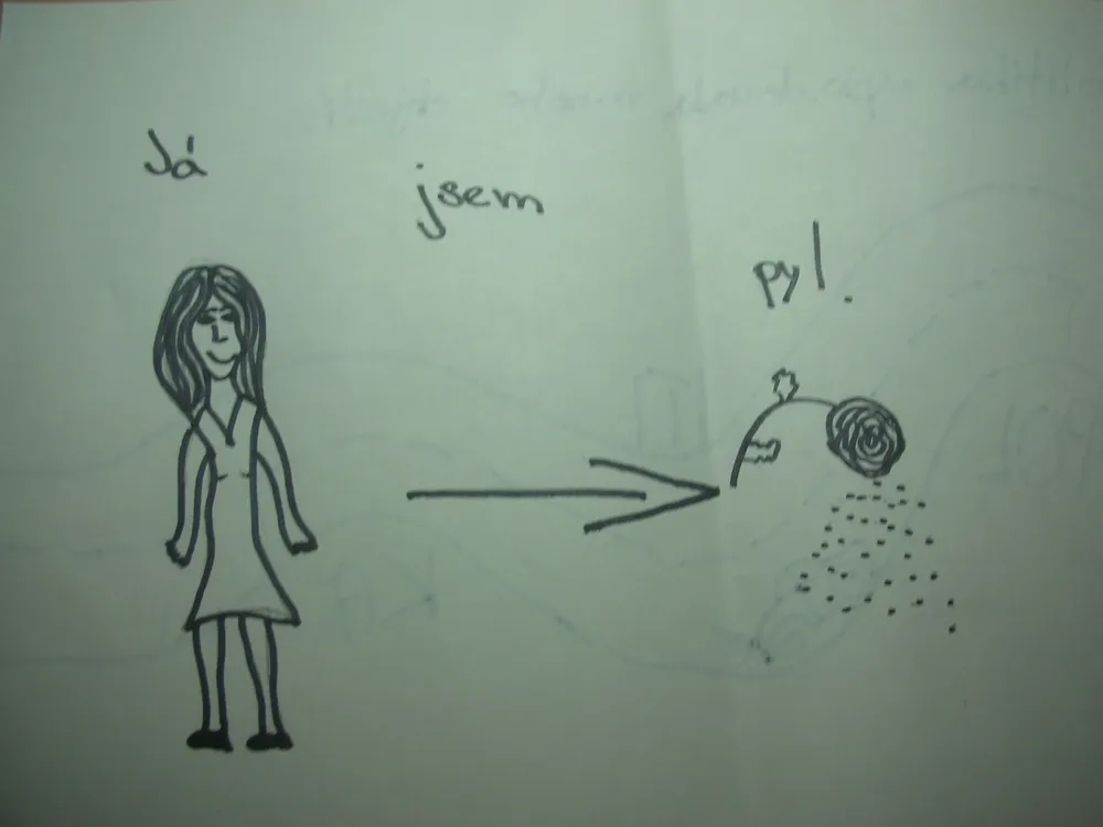 Skicujeme češtinu - pyl