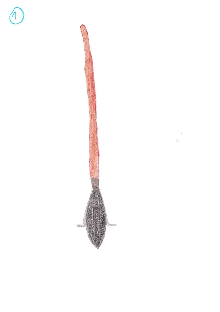 Koště