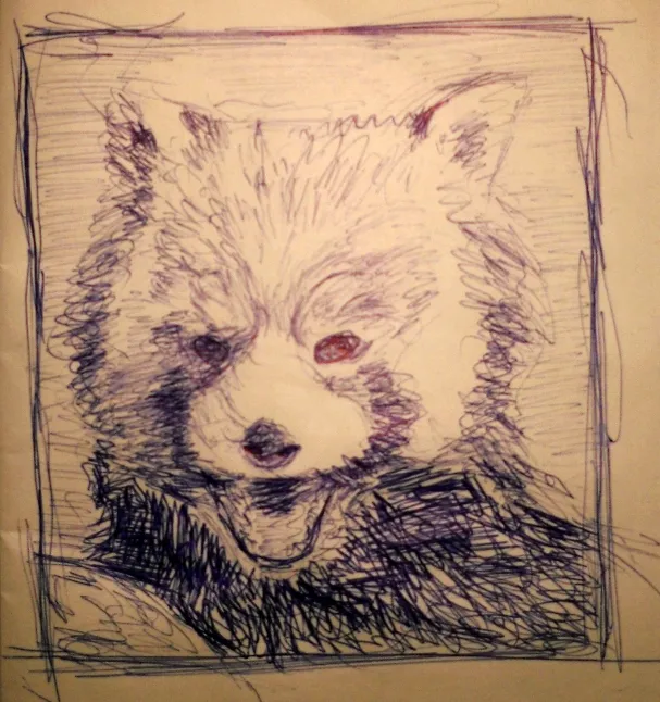 Panda červená