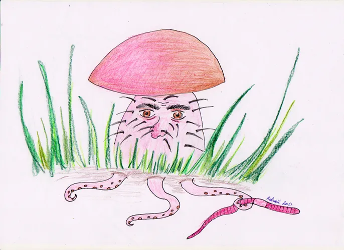 Houba