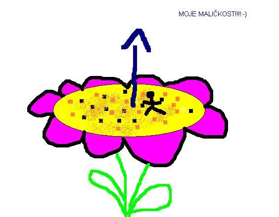 Skicujeme češtinu - pyl