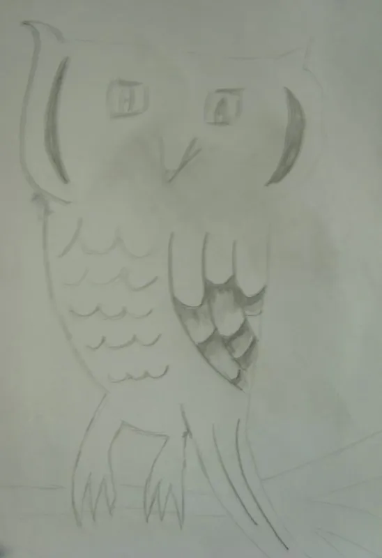 Sova