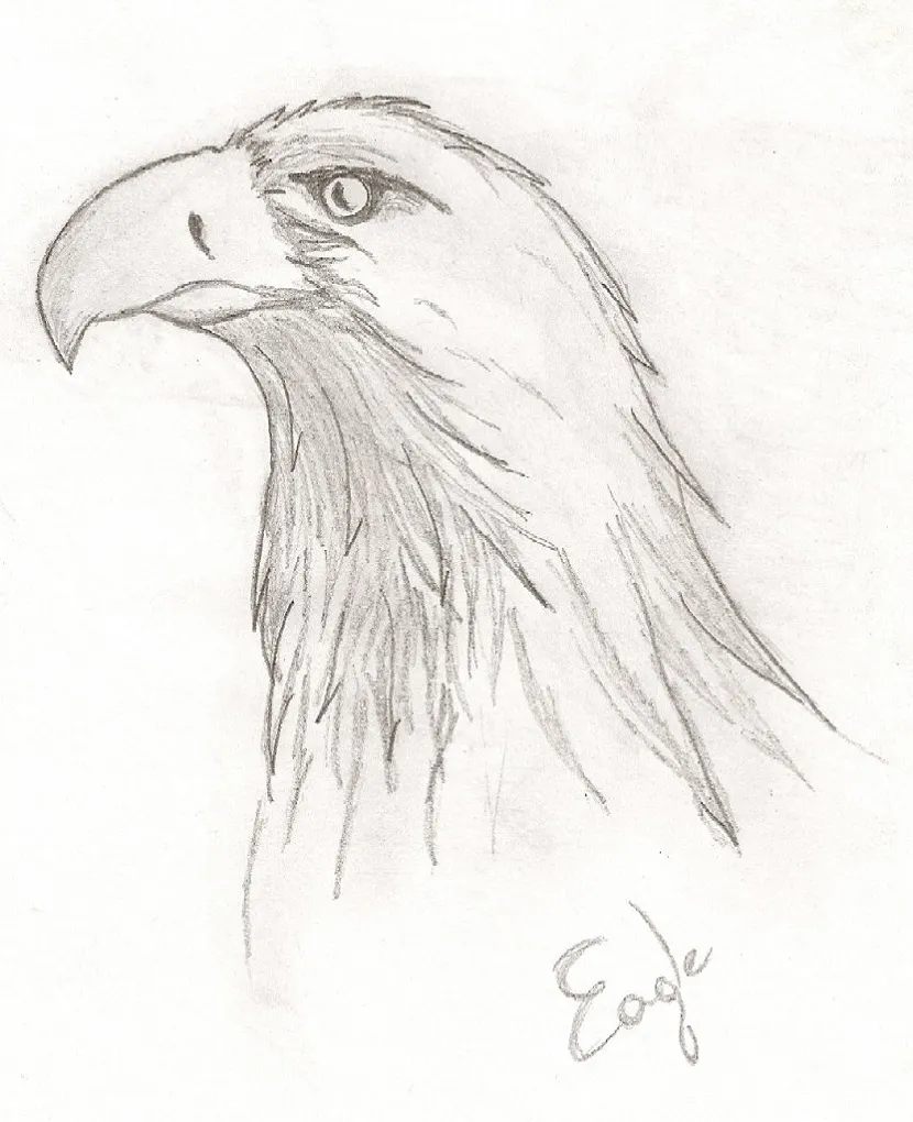 Ravenclaw