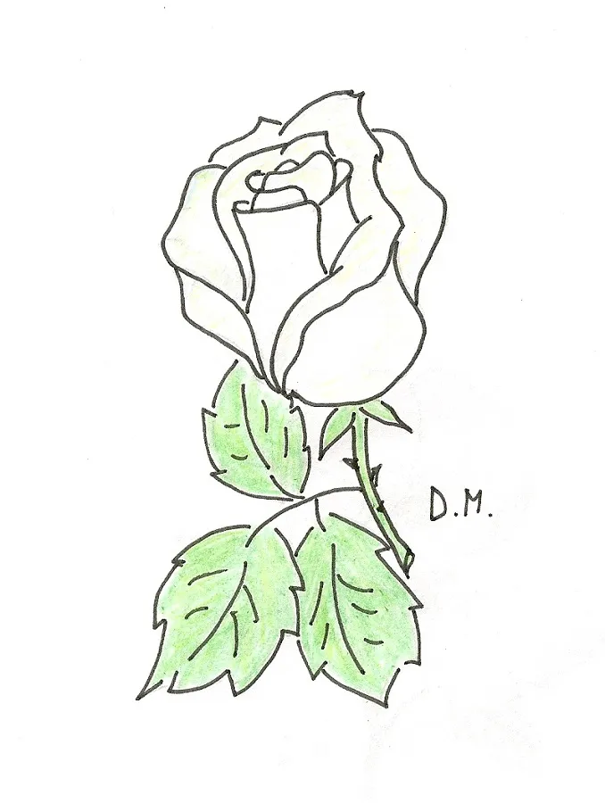 White Rose