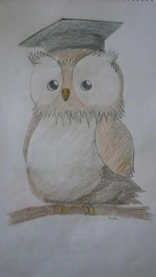 Není nad moudrou sovu