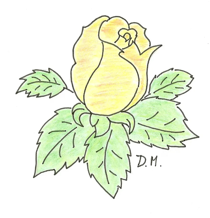 Yellow Rose