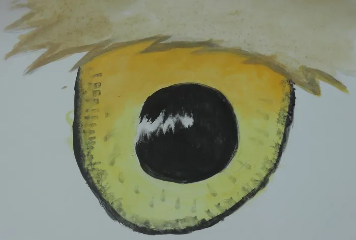 Soví oko