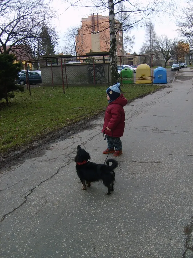 Práce žáků č. 5944