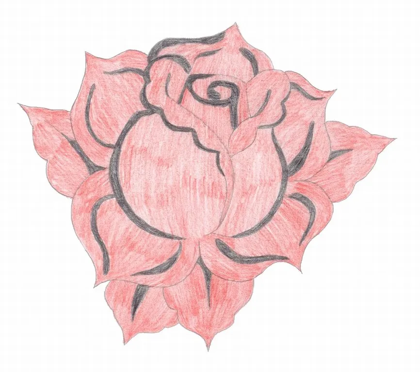 Rose