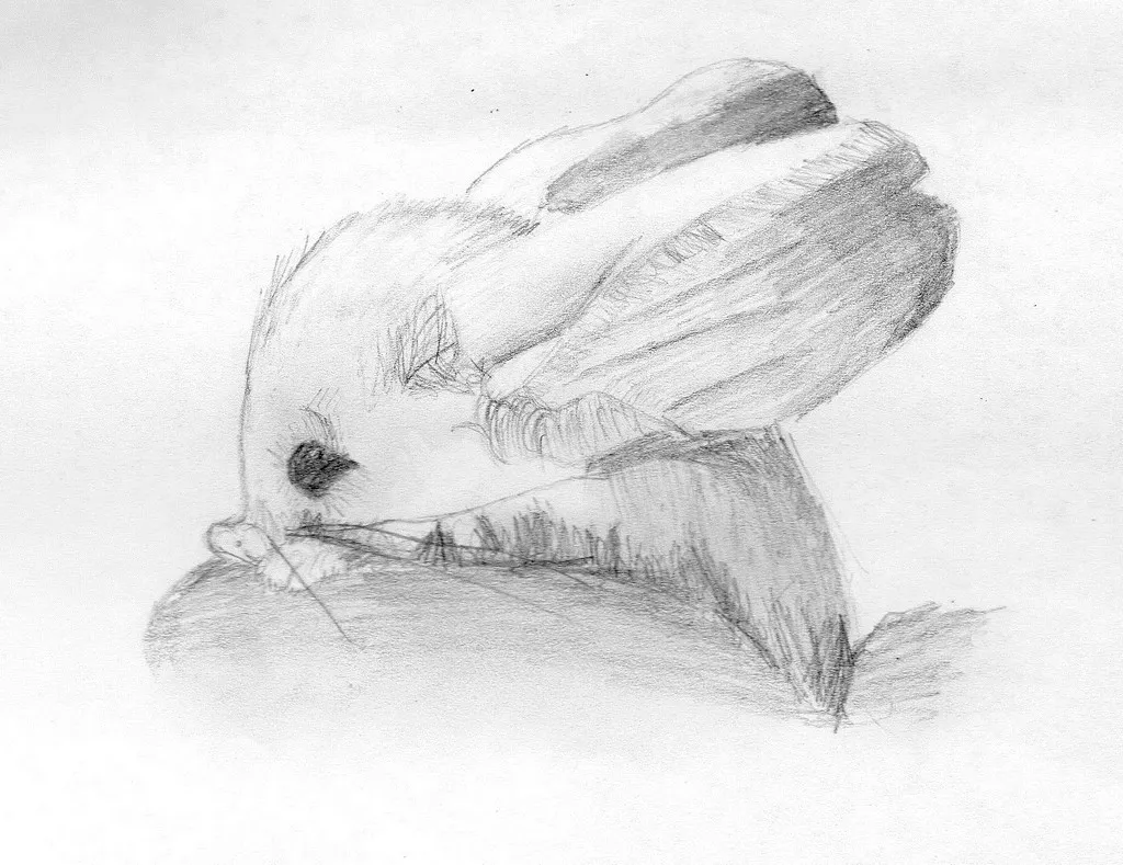 Práce žáků č. 6694