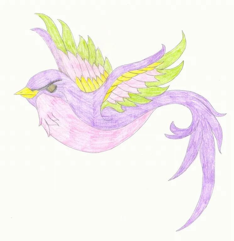 Bird