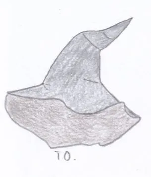Kouzelnický klobouk 1