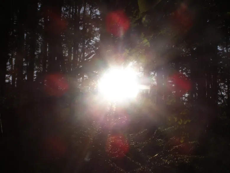 Nejkouzelnější foto - Lumos