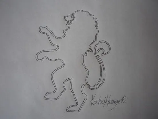 Amerika - geoglyfy
