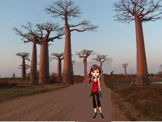 Fotografie z cest