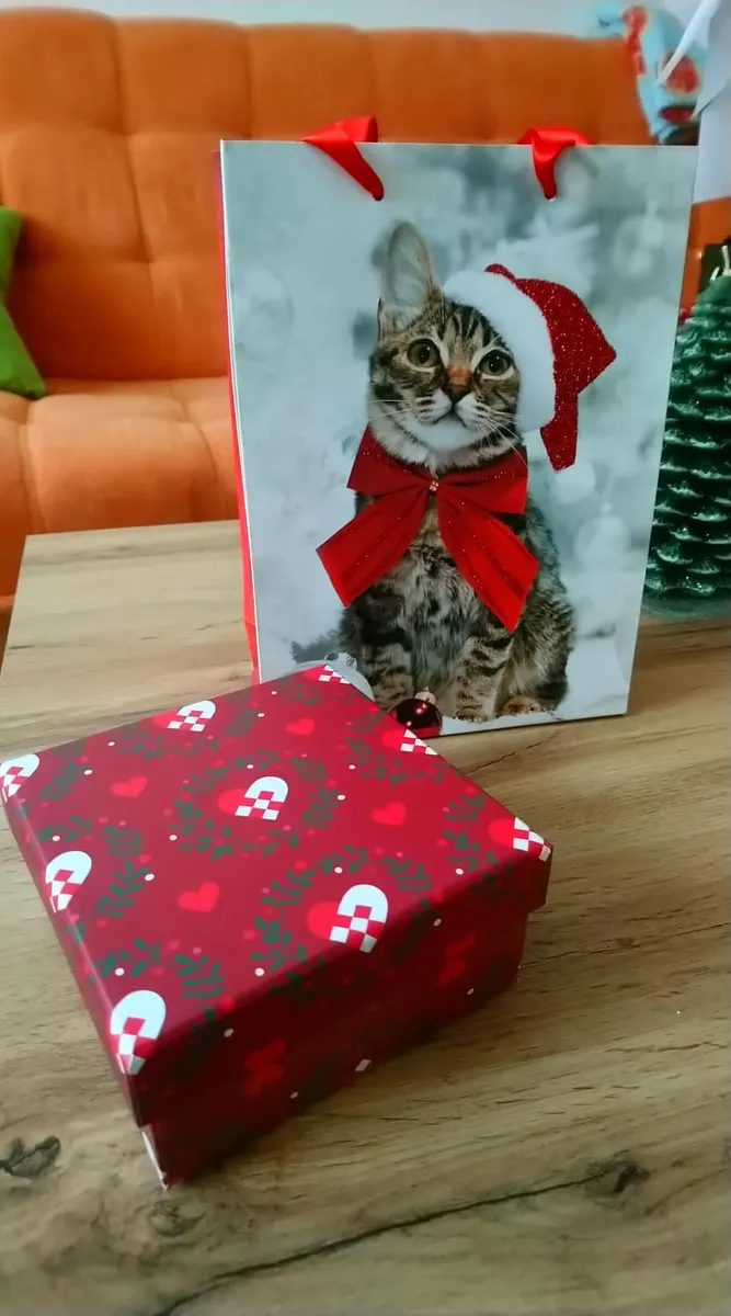 Soutěž Vánoce v obrazárně