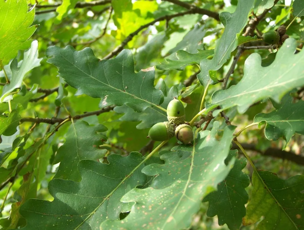1. úkol