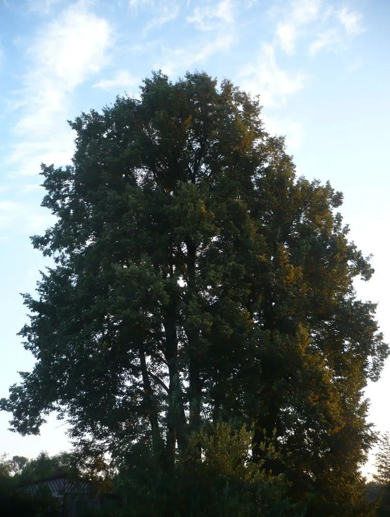 1. úkol