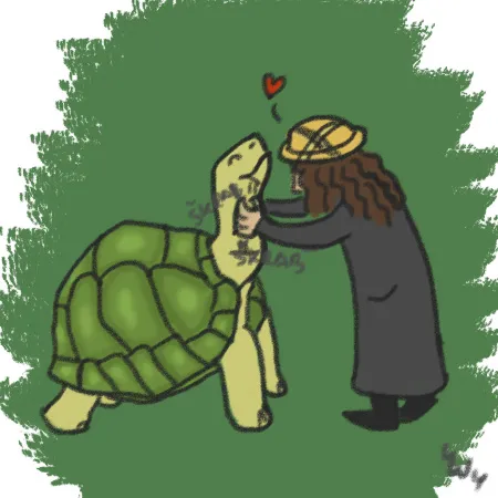 Škrábání želvy