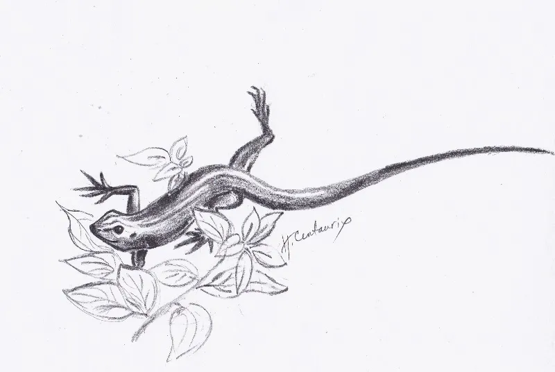 Hekatea Centaurix
