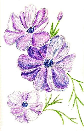 fialová kvetina